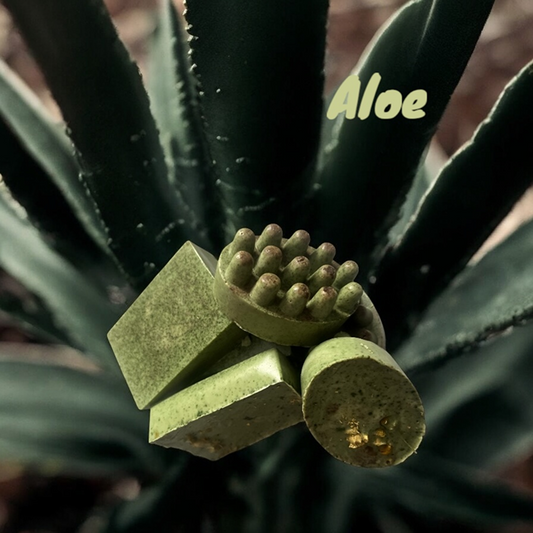Aloe Jabon