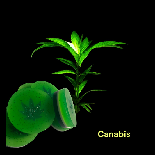 Canabis jabon