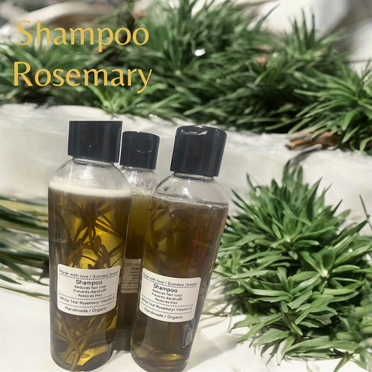 Shampoo Rosemary